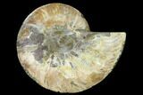 Cut & Polished Ammonite Fossil (Half) - Madagascar #166831-1